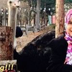 17- Gambar Percutian Memey Suhaiza Dan Norman Hakim Ke Korea Selatan - ROTIKAYA